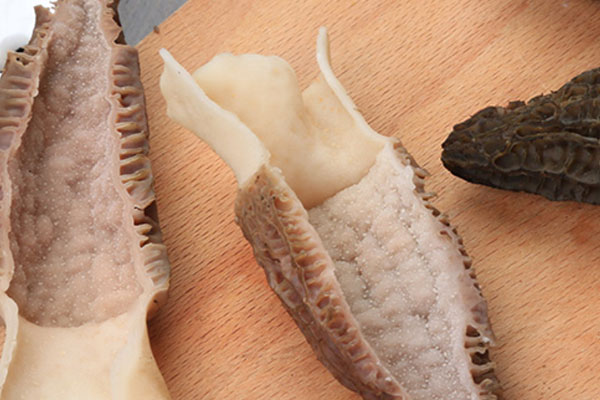 人工種植羊肚菌的前景好嗎 人工種植羊肚菌的前景好嗎