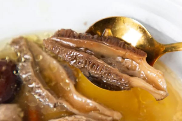 羊肚菌對光線有要求嗎 羊肚菌對光線有要求嗎