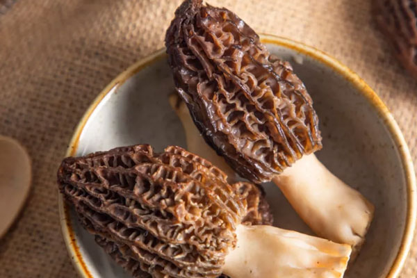 種羊肚菌的需要通風(fēng)嗎 種羊肚菌的需要通風(fēng)嗎