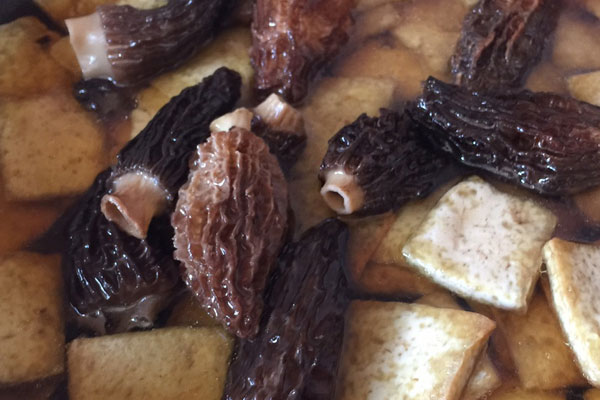 羊肚菌燜豆腐怎么做好吃，有哪些竅門