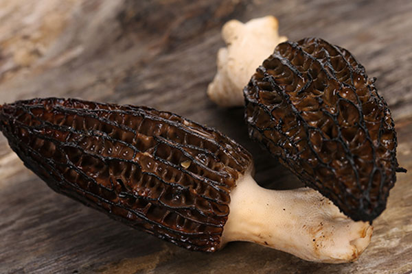 羊肚菌豆苗湯是回奶還是下奶 羊肚菌豆苗湯是回奶還是下奶