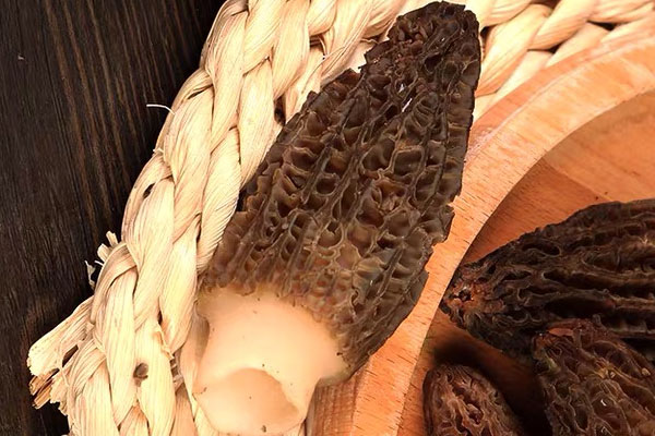 羊肚菌瘦肉鮑魚石斛湯的食用禁忌 羊肚菌瘦肉鮑魚石斛湯的食用禁忌