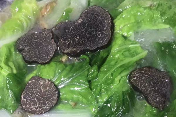 松露瘦肉青菜湯的做法 松露瘦肉青菜湯的做法