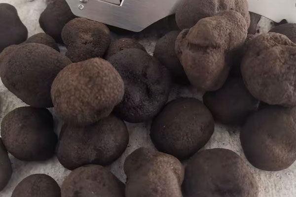 松露薄餅的做法竅門(mén) 松露薄餅的做法竅門(mén)