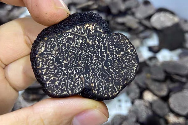 松露薄餅的功效作用 松露薄餅的功效作用