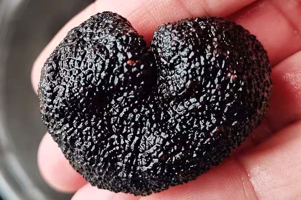 松露紅燒牛肉面吃起來辣嗎 松露紅燒牛肉面吃起來辣嗎