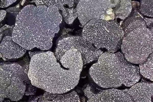 松露紅燒牛肉面的做法竅門 松露紅燒牛肉面的做法竅門