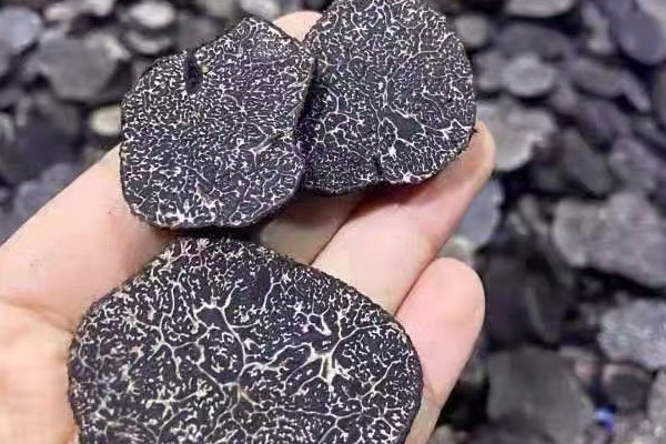 松露炒蝦球的做法竅門 松露炒蝦球的做法竅門