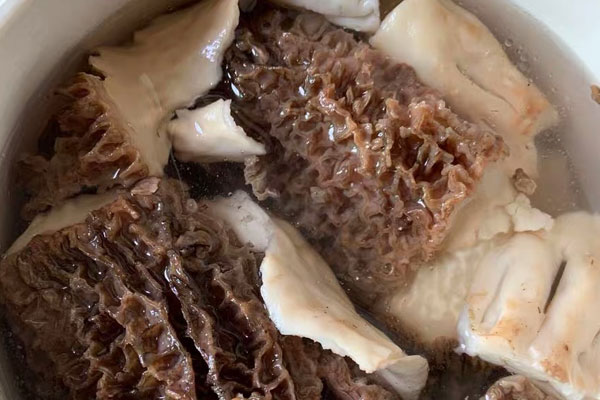 羊肚菌可以補(bǔ)腎陰嗎 羊肚菌可以補(bǔ)腎陰嗎