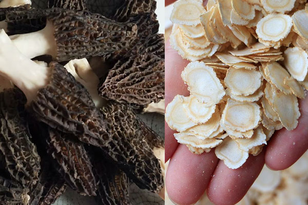 西洋參和羊肚菌哪個更補，羊肚菌不能和什么同煮