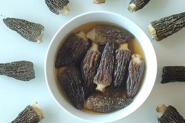 泡羊肚菌的水要倒掉嗎 泡羊肚菌的水要倒掉嗎