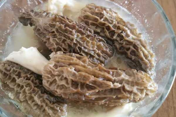 羊肚菌煲雞湯還可以放什么，羊肚菌燉雞什么時候下鍋