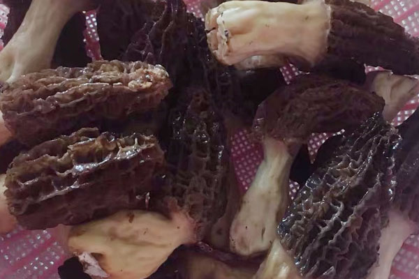 羊肚菌清蒸龍蝦的醬料怎么弄 羊肚菌清蒸龍蝦的醬料怎么弄