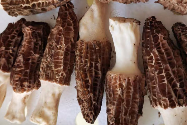 蒜蓉粉絲蒸羊肚菌的功效作用 蒜蓉粉絲蒸羊肚菌的功效作用