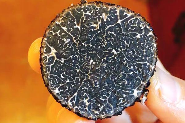 做松露青菜粥什么青菜適合 做松露青菜粥什么青菜適合