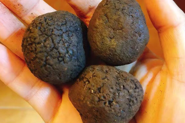 松露青菜粥的功效作用 松露青菜粥的功效作用