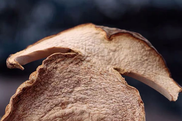 泡牛肝菌的水要不要