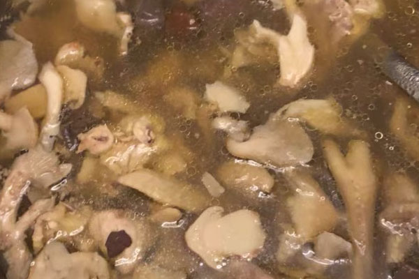 牛肝菌可以預(yù)防婦科疾病嗎