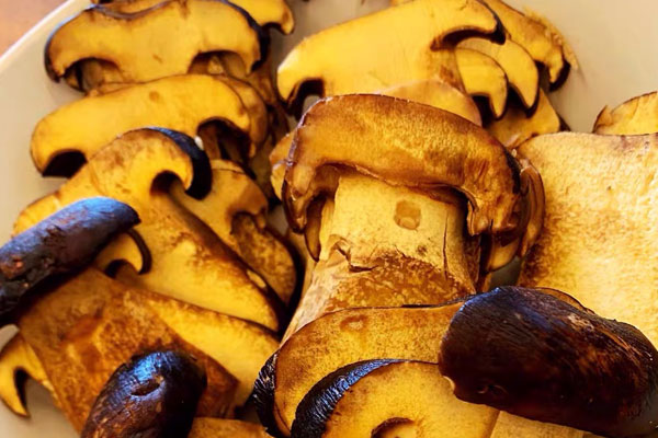 牛肝菌的食用禁忌 牛肝菌的食用禁忌