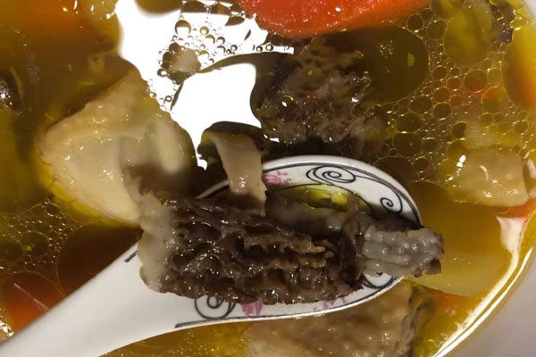 羊肚菌雞湯的功效作用 羊肚菌雞湯的功效作用