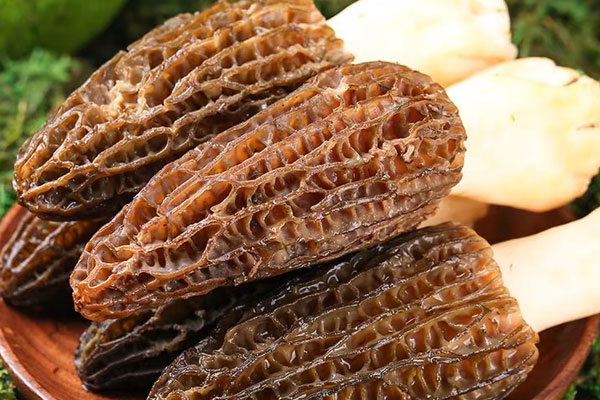 羊肚菌24個月寶寶可以吃嗎，羊肚菌可以熬粥給小孩吃嗎