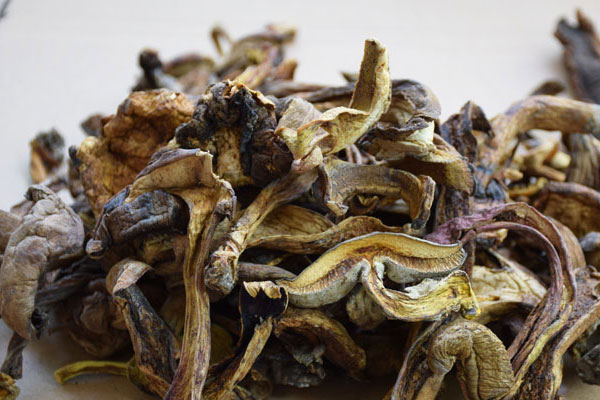 牛肝菌炒臘腸的食用禁忌 牛肝菌炒臘腸的食用禁忌