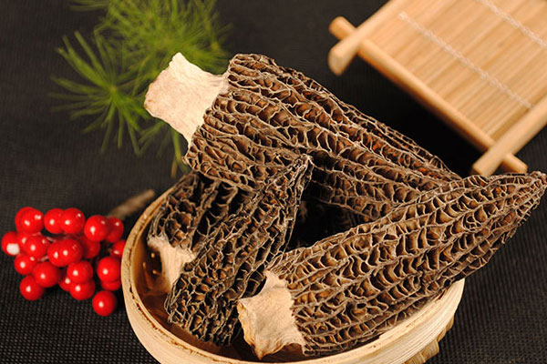 干的羊肚菌能放急凍嗎 干的羊肚菌能放急凍嗎
