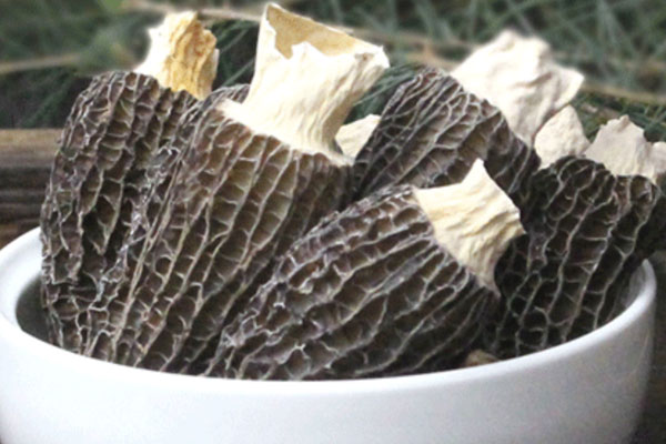 羊肚菌可以冷凍儲(chǔ)存嗎 羊肚菌可以冷凍儲(chǔ)存嗎