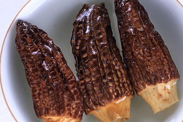 羊肚菌用冷水還是熱水泡，羊肚菌用溫水還是開水泡