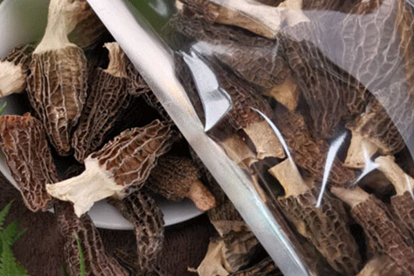 羊肚菌打成粉開水沖服嗎，干羊肚菌能泡12小時(shí)嗎