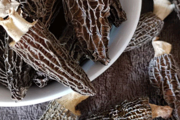 干羊肚菌可以泡12小時(shí)嗎 干羊肚菌可以泡12小時(shí)嗎