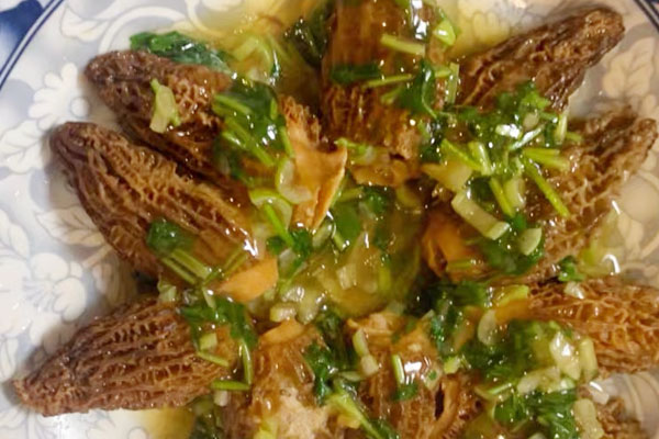 羊肚菌可以降低膽固醇嗎，羊肚菌可以化痰理氣嗎