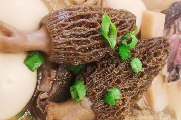 羊肚菌可以提高免疫力嗎，羊肚菌有酒味還能吃嗎