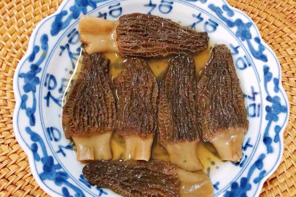 羊肚菌可以抗腫瘤嗎，羊肚菌能提高性欲嗎