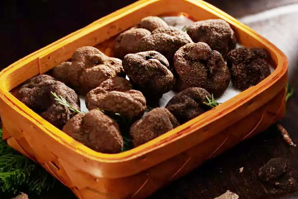 黑松露對身體的壞處 黑松露對身體的壞處