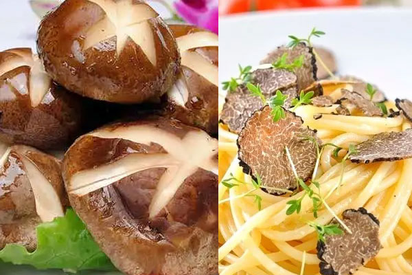 香菇和松露可以一起吃嗎 香菇和松露可以一起吃嗎