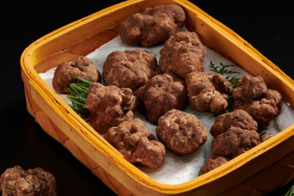 松露與什么食物相克，黑松露什么人不能吃