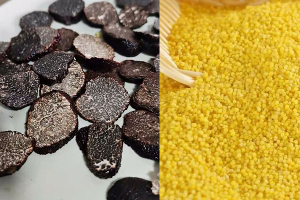 黑松露可以?和小米一起煮粥嗎 黑松露可以?和小米一起煮粥嗎