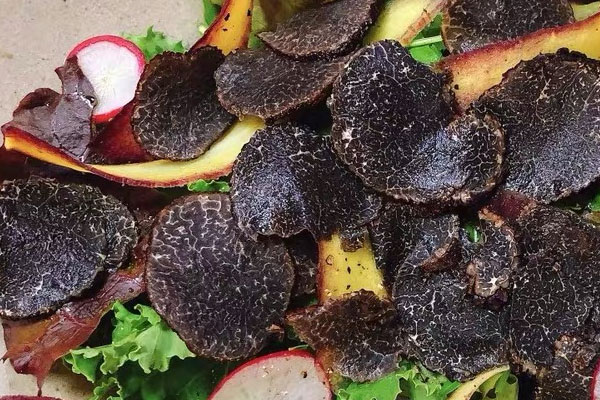 松露吃起來像木頭，黑松露味道為什么很酸