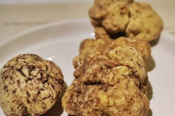 白松露護(hù)膚的功效與作用，黑松露可以美白嗎