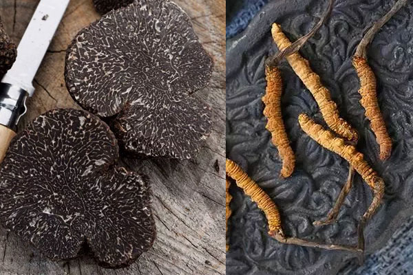 松露和冬蟲夏草哪個(gè)營(yíng)養(yǎng)好，松露可以抗衰老嗎