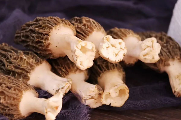 胃疼能吃羊肚菌嗎 胃疼能吃羊肚菌嗎