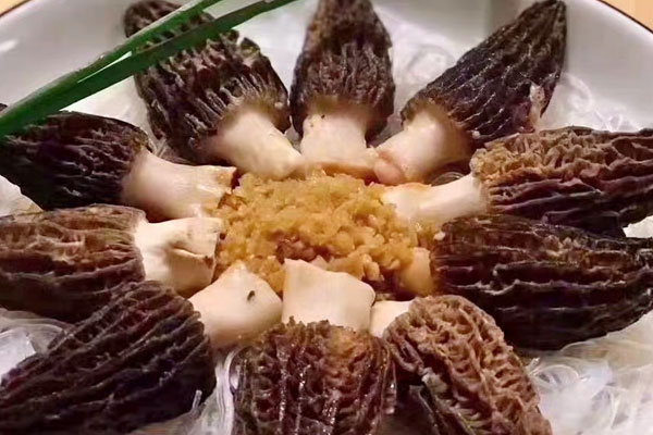 羊肚菌是寒性還是溫性，陰虛可以吃羊肚菌嗎