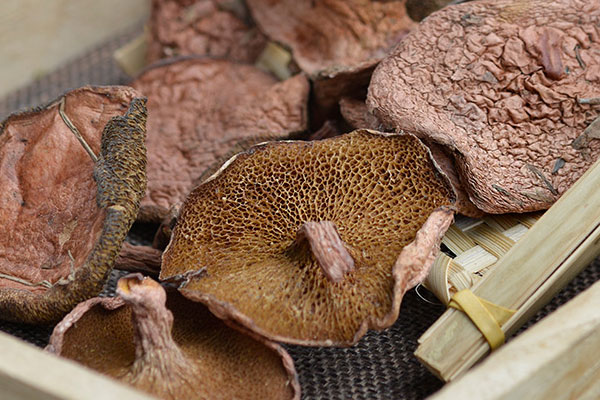 滑炒紅乳牛肝菌的做法竅門 滑炒紅乳牛肝菌的做法竅門