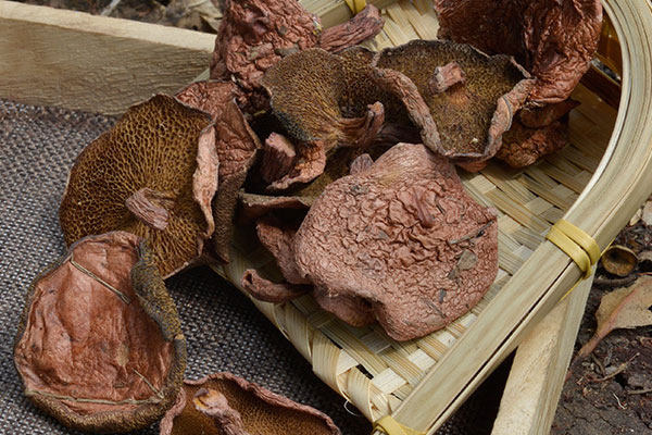 滑炒紅乳牛肝菌的功效作用 滑炒紅乳牛肝菌的功效作用