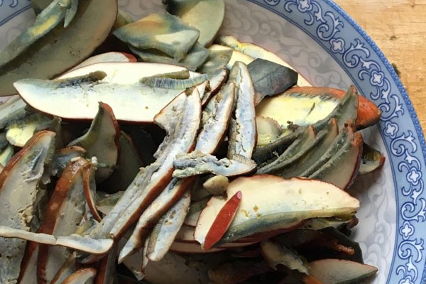 見手青是什么 見手青是什么