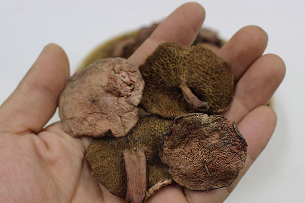 紅乳牛肝菌能生吃嗎，牛肝菌和羊肚菌哪個(gè)好吃