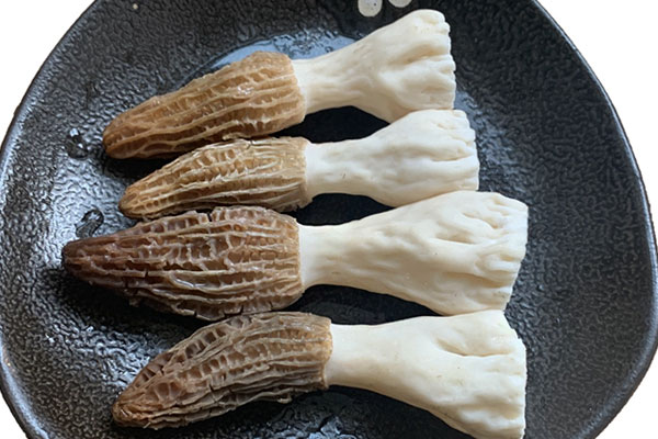 羊肚菌有降血壓的功效嗎，骨折有傷口可以吃羊肚菌嗎