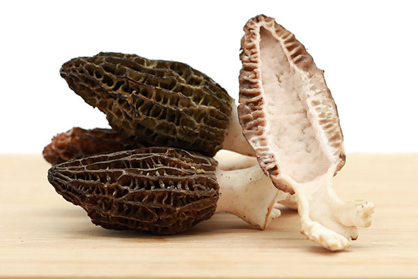 胃爛了可以吃羊肚菌嗎，支氣管擴張可以吃羊肚菌嗎