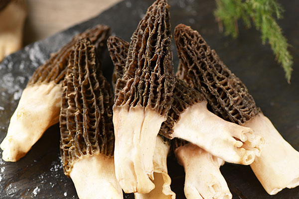 幽門螺旋桿菌可以吃羊肚菌嗎，心血管病可以吃羊肚菌嗎